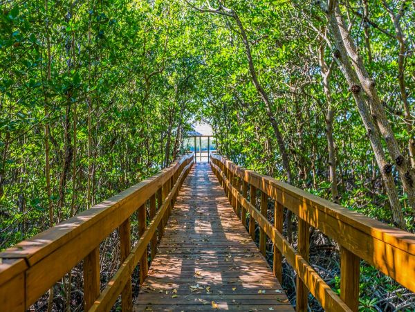 Marco Island Condo 1010668