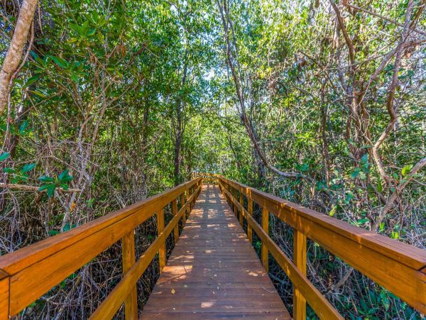Marco Island Condo 1010668