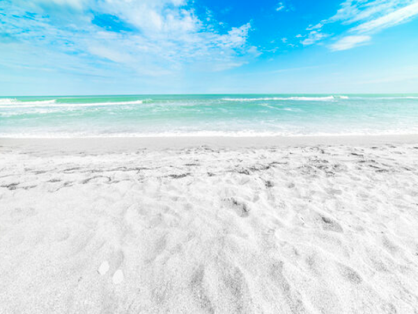 Coastal Comfort with 3 Bedrooms, Steps from Siesta Key Beach