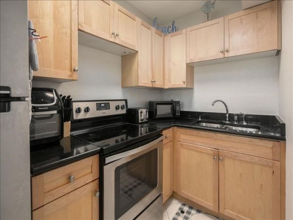 St. Petersburg Condo 1010718