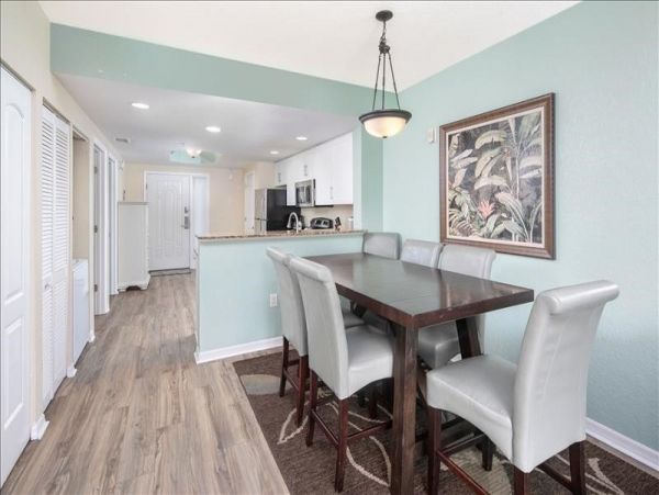 St. Petersburg Condo 1010724