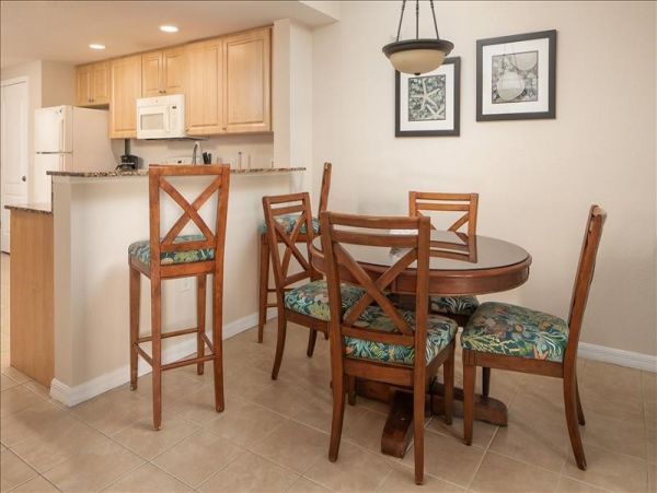 St. Petersburg Condo 1010726