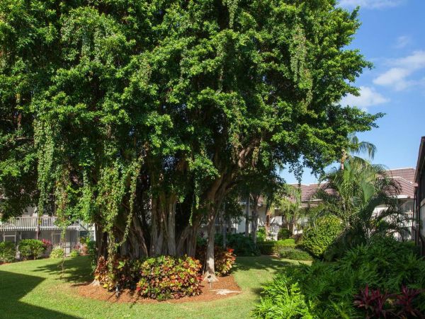 Marco Island Condo 1010730