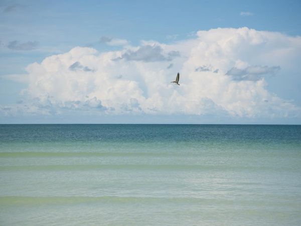 Marco Island Condo 1010734