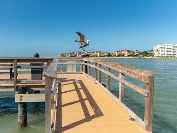 Marco Island Condo 1010787