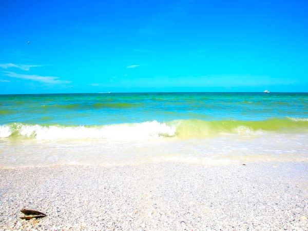 Across From Beach with Gulf Views in Marco Island