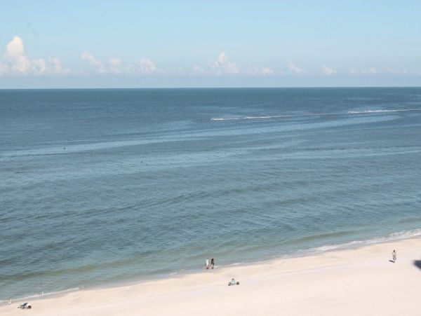 Marco Island Condo 1010823