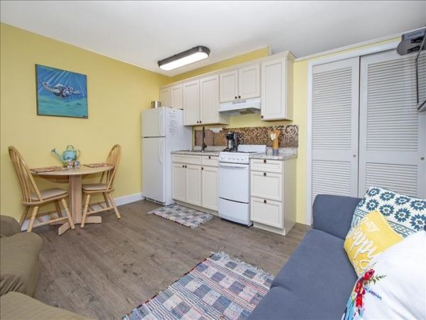 Naples Condo 1010838