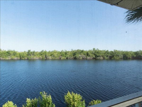Naples Condo 1010843