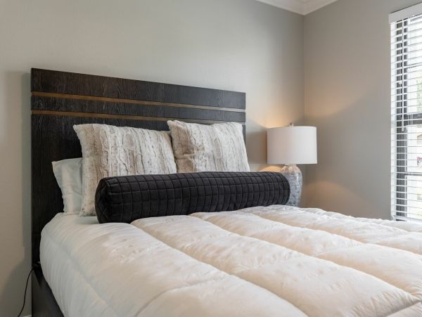 Cape Coral Home 1010889