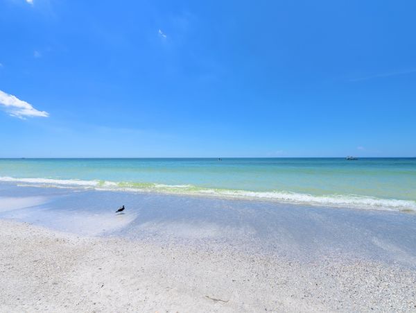 Rooftop Deck with Views of Bradenton Beach