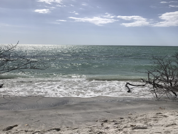 Captiva Four Bedroom Lovely Beach Retreat