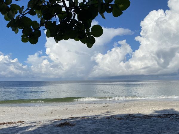 Boca Grande Home 1011009
