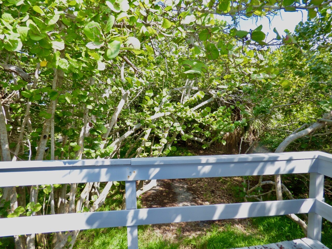 Boca Grande Home 1011012