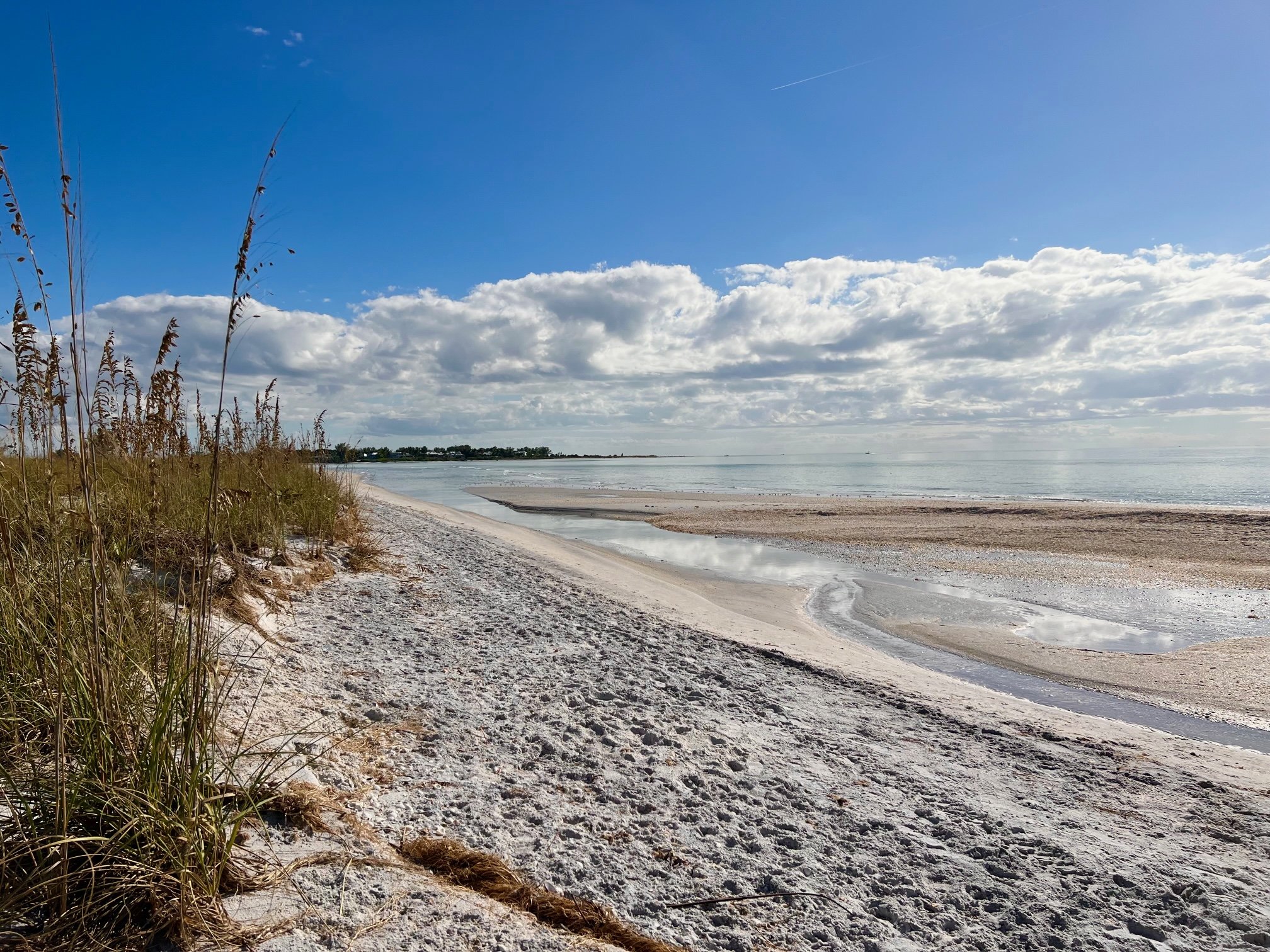 Boca Grande Home 1011013