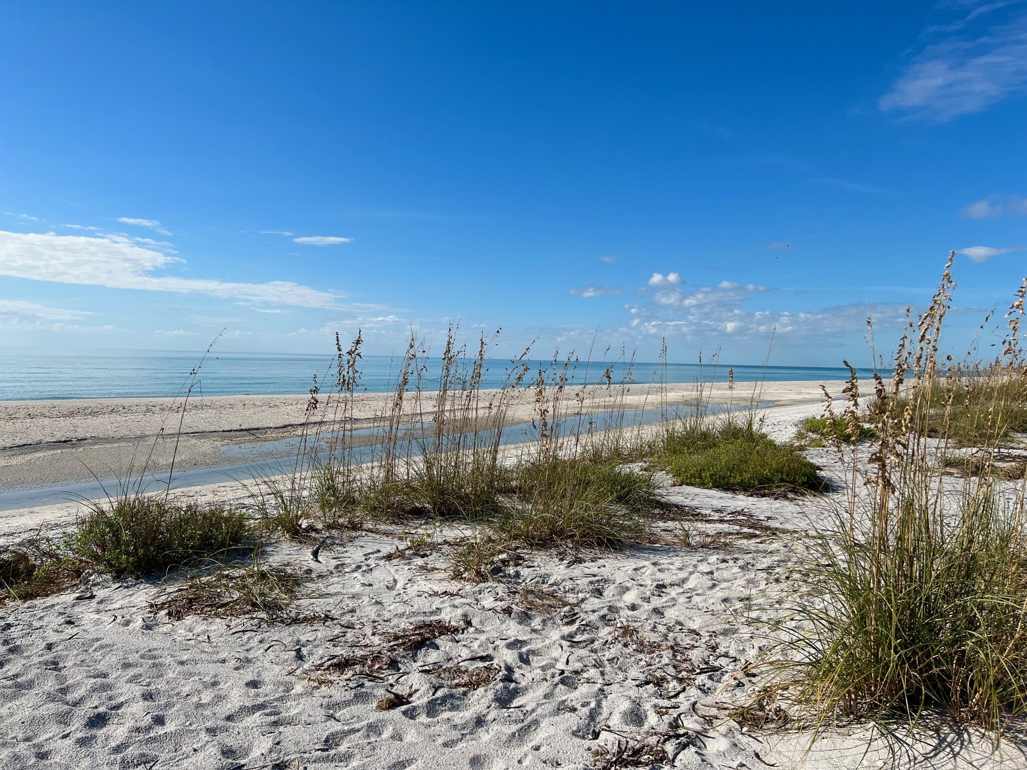 Boca Grande Home 1011013