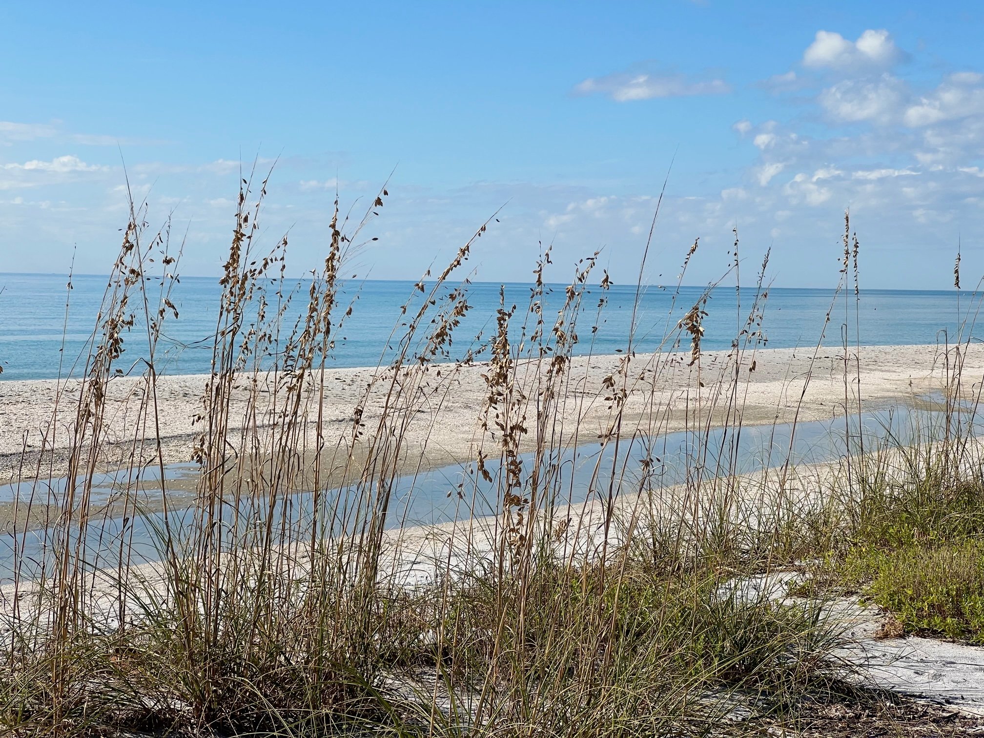 Boca Grande Home 1011013