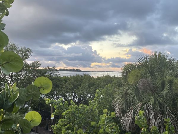 Boca Grande Home 1011016