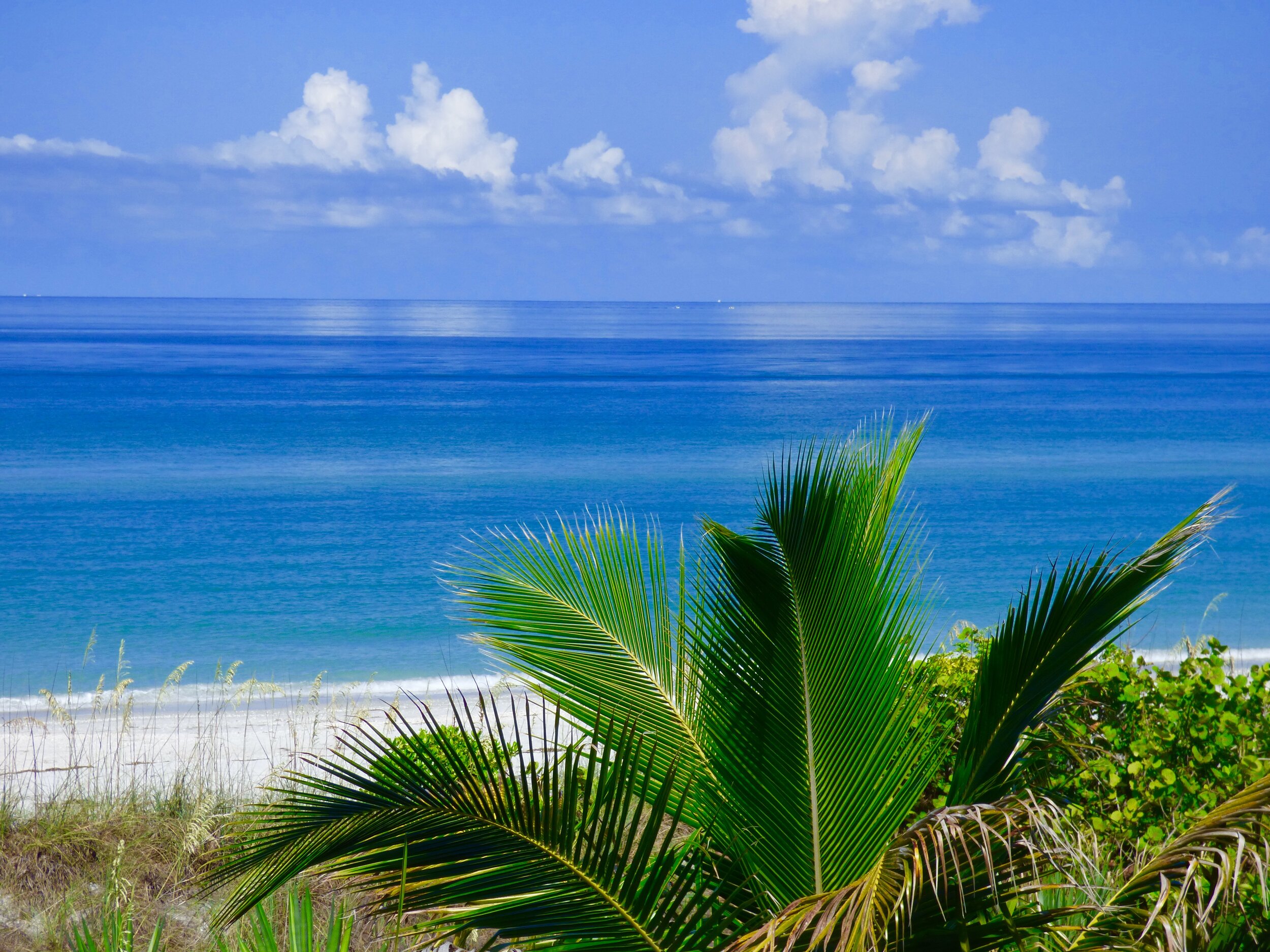 Boca Grande Home 1011019