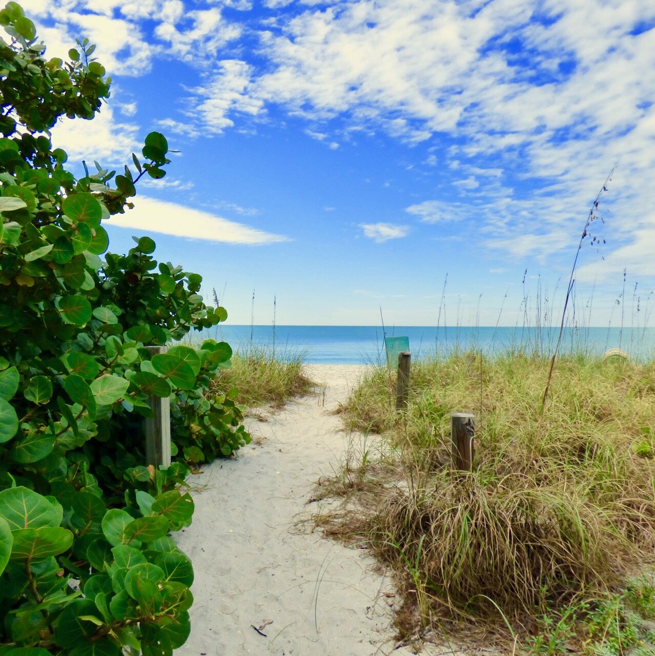 Boca Grande Home 1011019