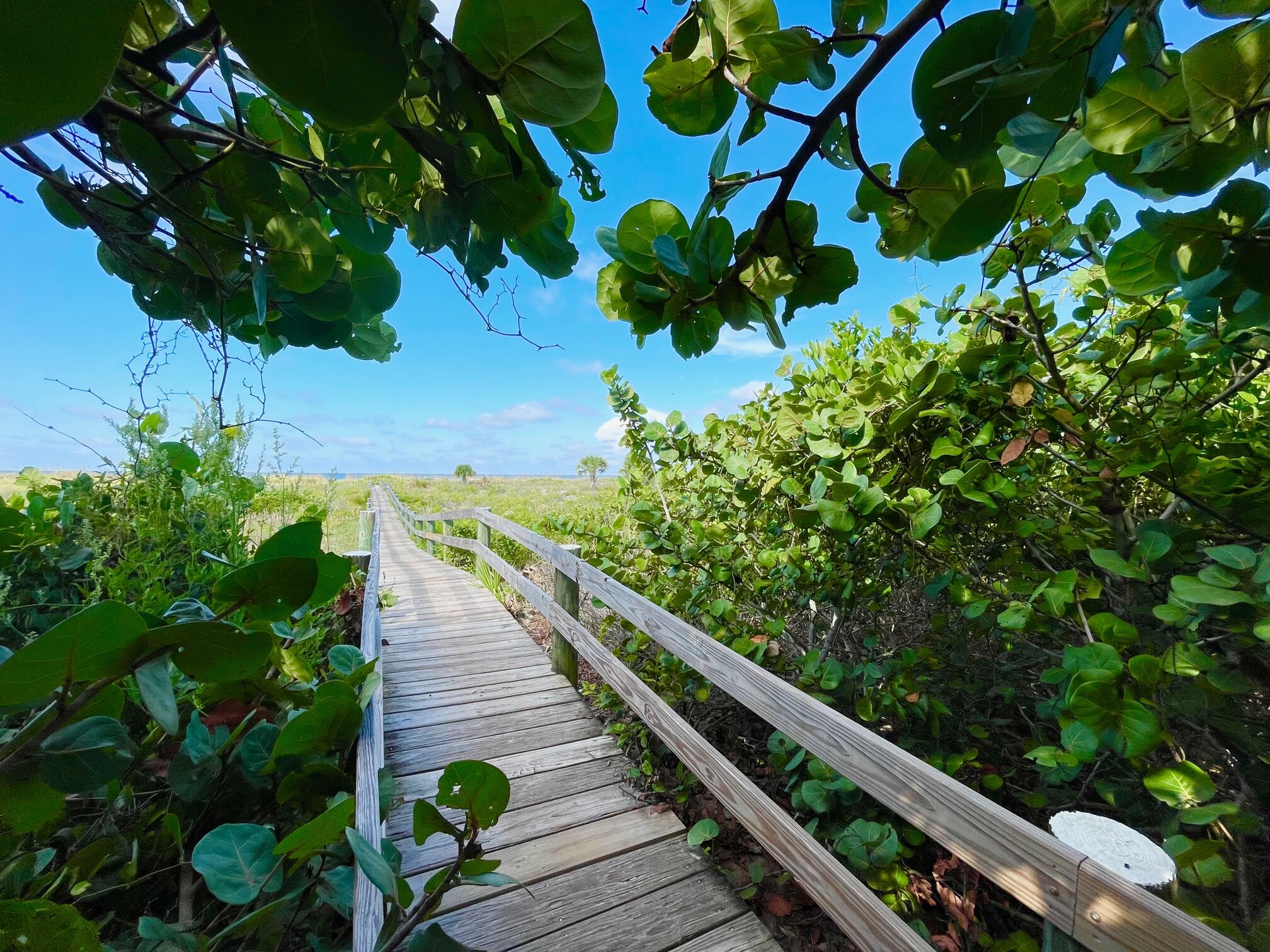 Boca Grande Home 1011020