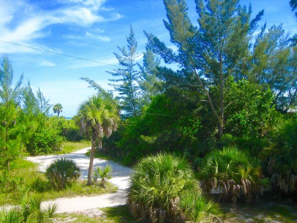 Boca Grande Home 1011026