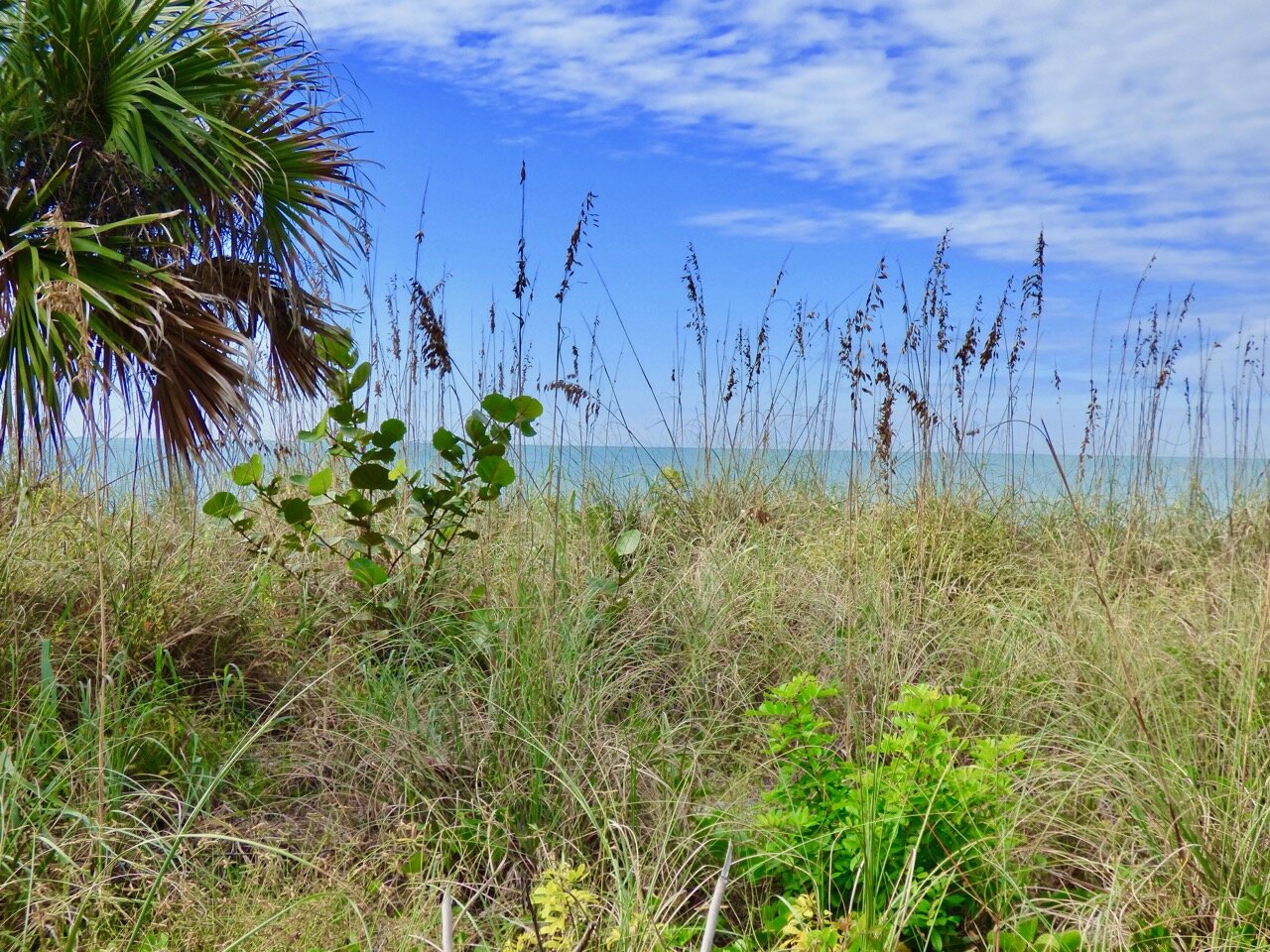 Boca Grande Home 1011026