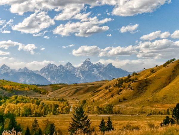 Jackson Hole Wy Home 1011062
