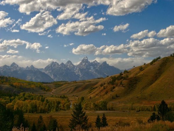 Jackson Hole Wy Home 1011065