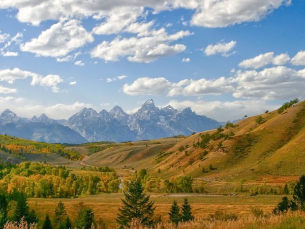 Jackson Hole Wy Home 1011072