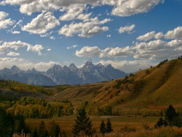 Jackson Hole Wy Home 1011085