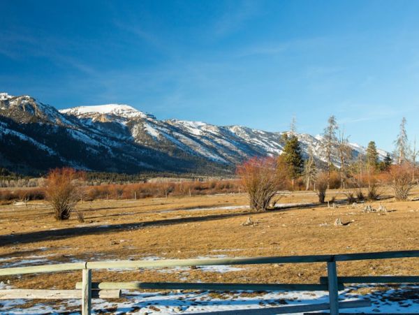 Jackson Hole Wy Home 1011087