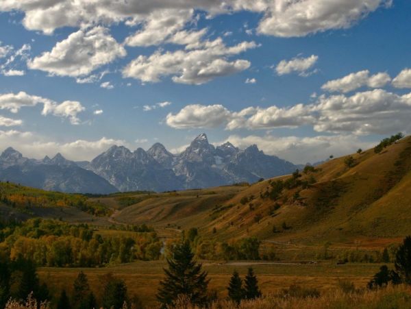 Jackson Hole Wy Home 1011094