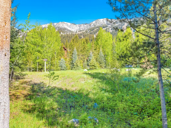 Ski in Ski out, 4 blocks from Teton Village
