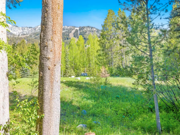 Ski in Ski out, 4 blocks from Teton Village
