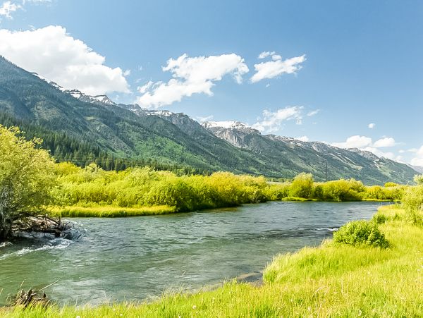 Jackson Hole Wy Home 1011100