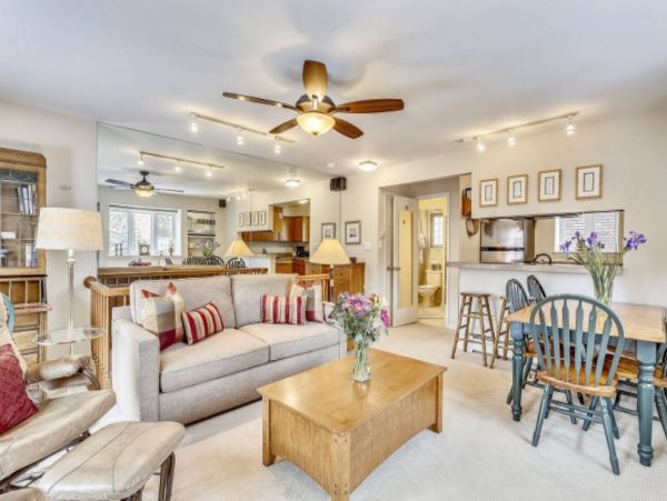 Aspen Condo 1011176