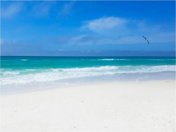 On Beach Panama City Vacation Condo Four Bedrooms Gulf Views