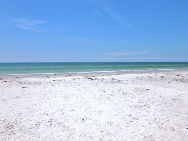 On Beach Vacation Condo in Indian Shores with Gulf Views