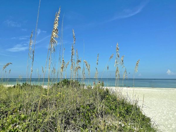 On Beach Vacation Condo in Indian Shores with Gulf Views