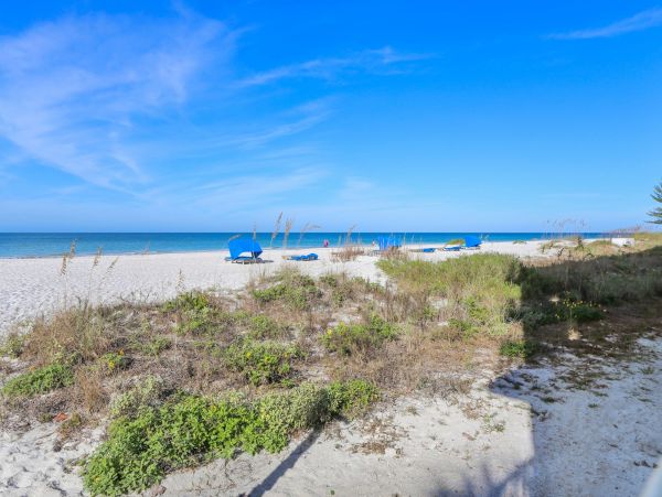 On Beach Vacation Condo in Indian Shores with Gulf Views