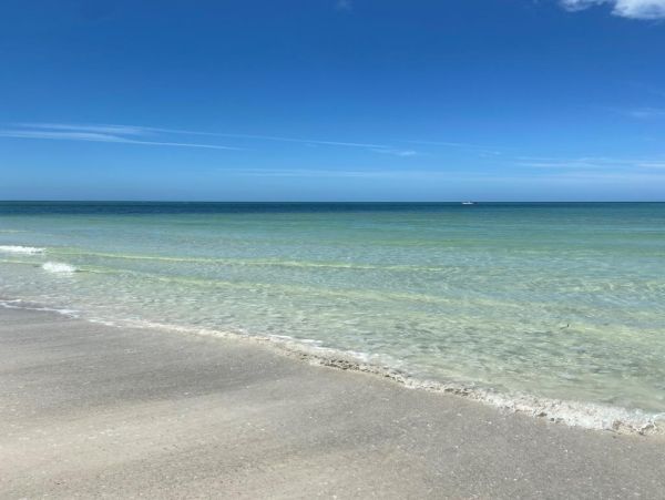 Indian Shores Ai Home 1011323