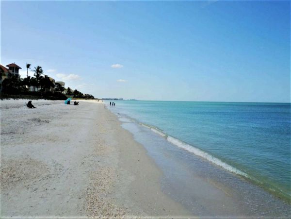 Bonita Springs Condo 1011331