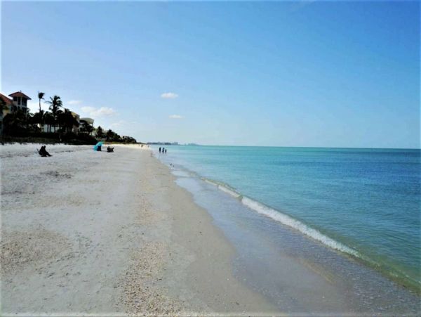 Bonita Springs Condo 1011338