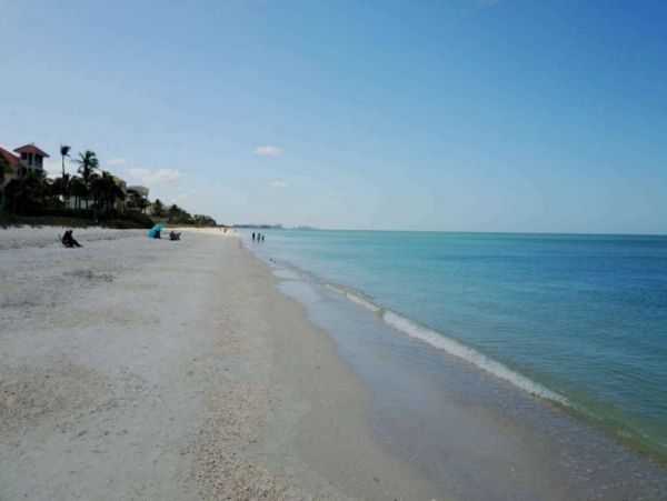Bonita Springs Condo 1011340