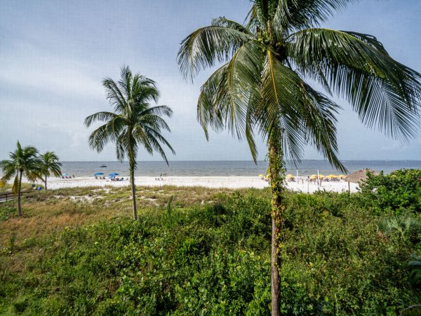 Fort Myers Condo 1011360