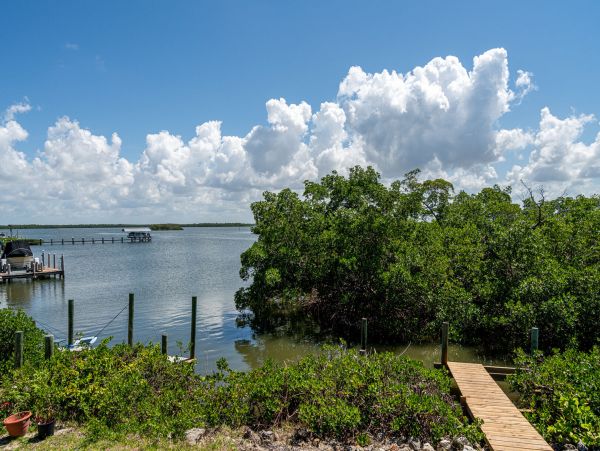 Fort Myers Home 1011376