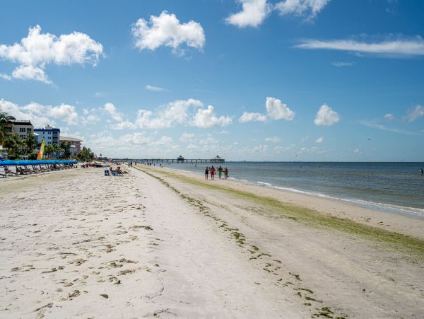 Fort Myers Home 1011378