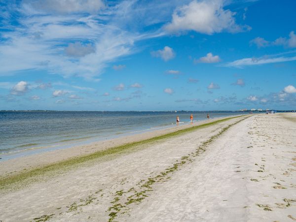 Fort Myers Home 1011378