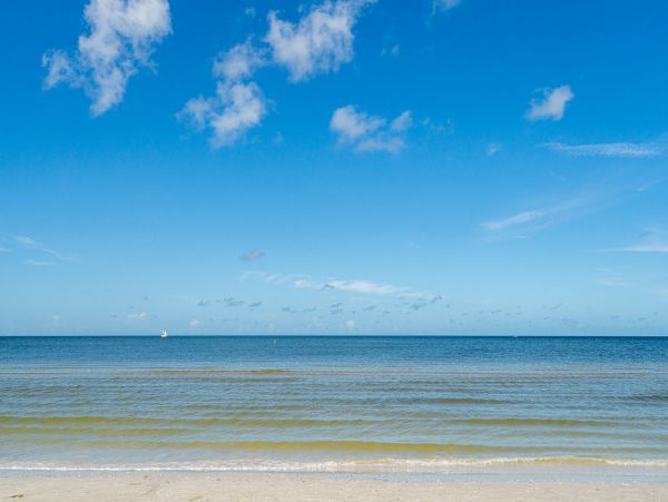 Fort Myers Home 1011378